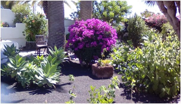 Gran Canaria Heiderose GärtnerSchultz